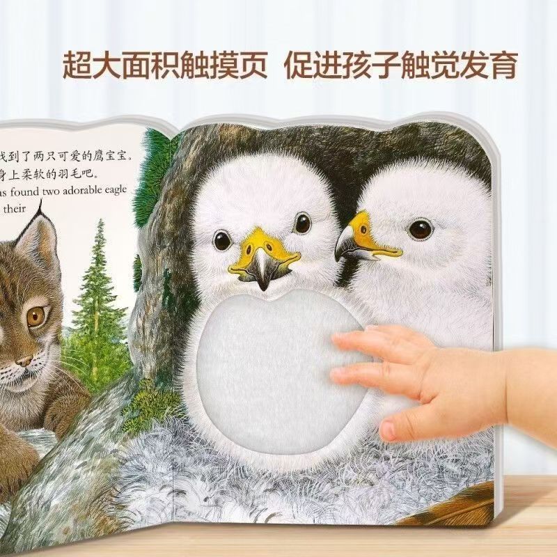 小兔比利/小雞球球