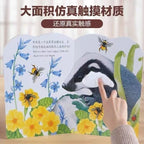 小兔比利/小雞球球