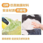 小兔比利/小雞球球