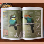 國家地理動物百科全書