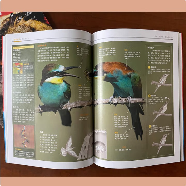 國家地理動物百科全書