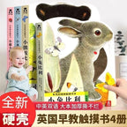 小兔比利/小雞球球